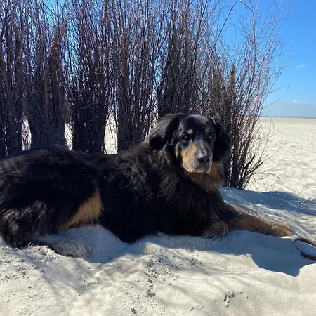 Ferien Im Wangerland - Haus Wiesenweg - 1 1og Apartamento Horumersiel