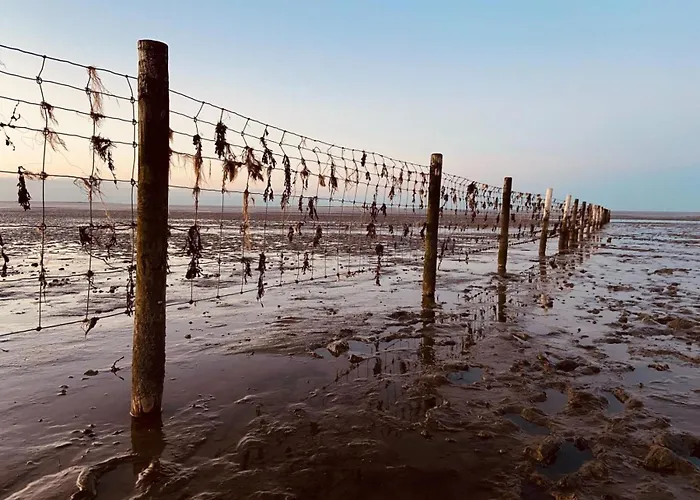 Ferien Im Wangerland - Haus Wiesenweg - 1 1og Appartamento Horumersiel