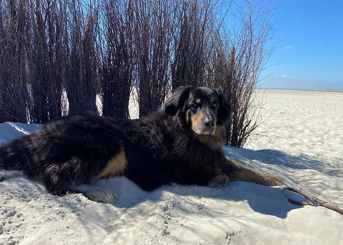 Ferien Im Wangerland - Haus Wiesenweg - 1 1og Appartamento Horumersiel